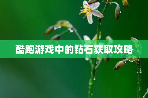 酷跑游戏中的钻石获取攻略