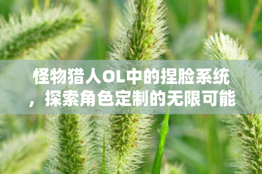 怪物猎人OL中的捏脸系统，探索角色定制的无限可能