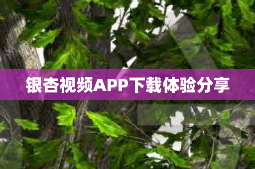银杏视频APP下载体验分享 银杏视频APP下载体验分享