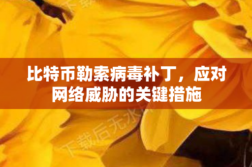 比特币勒索病毒补丁，应对网络威胁的关键措施