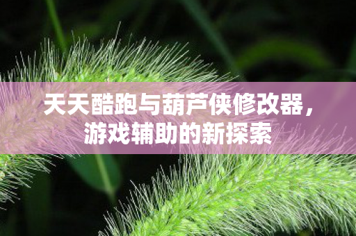 天天酷跑与葫芦侠修改器，游戏辅助的新探索