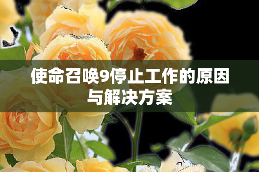 使命召唤9停止工作的原因与解决方案