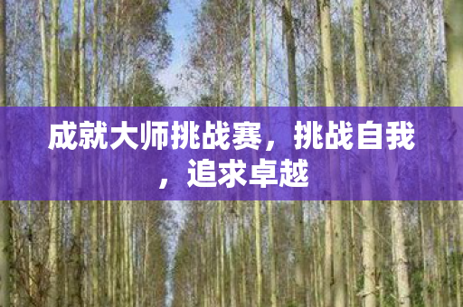 成就大师挑战赛，挑战自我，追求卓越