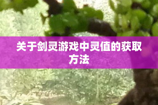 关于剑灵游戏中灵值的获取方法