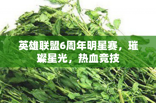 英雄联盟6周年明星赛，璀璨星光，热血竞技