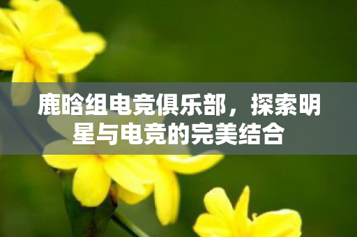 鹿晗组电竞俱乐部，探索明星与电竞的完美结合