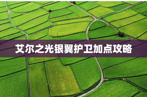 艾尔之光银翼护卫加点攻略