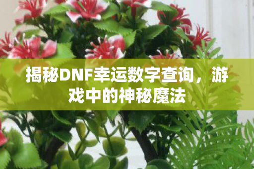 揭秘DNF幸运数字查询，游戏中的神秘魔法