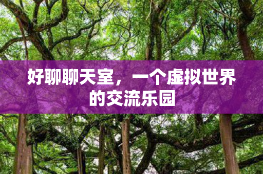 好聊聊天室，一个虚拟世界的交流乐园