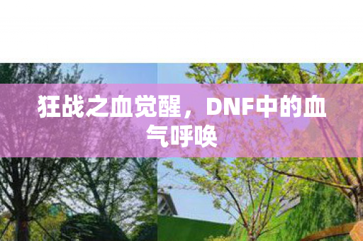 狂战之血觉醒，DNF中的血气呼唤