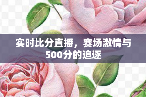实时比分直播，赛场激情与500分的追逐