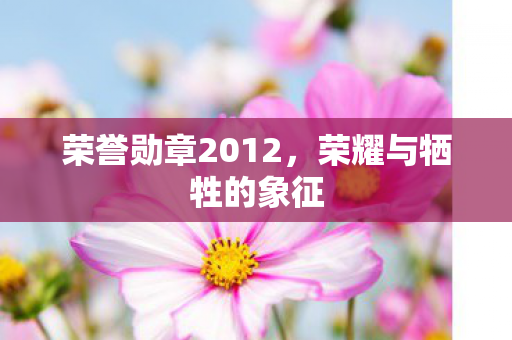 荣誉勋章2012,荣耀与牺牲的象征 荣誉勋章2012,荣耀与牺牲的象征