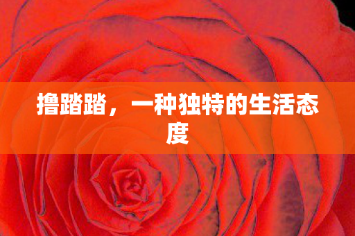 撸踏踏，一种独特的生活态度