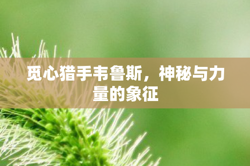 觅心猎手韦鲁斯，神秘与力量的象征
