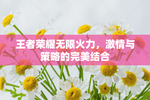 王者荣耀无限火力，激情与策略的完美结合