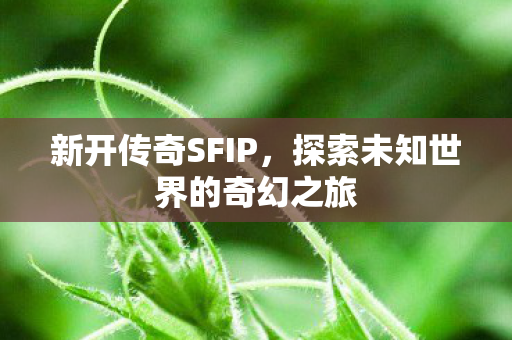 新开传奇SFIP，探索未知世界的奇幻之旅