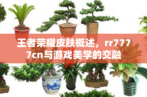 王者荣耀皮肤概述，rr7777cn与游戏美学的交融