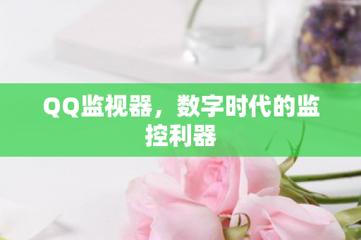 QQ监视器，数字时代的监控利器