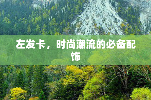 左发卡，时尚潮流的必备配饰