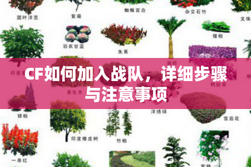 CF如何加入战队，详细步骤与注意事项