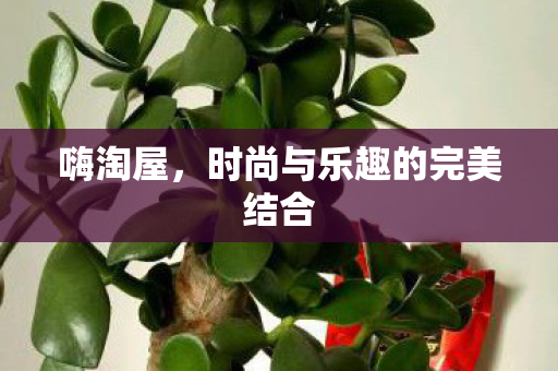 嗨淘屋，时尚与乐趣的完美结合