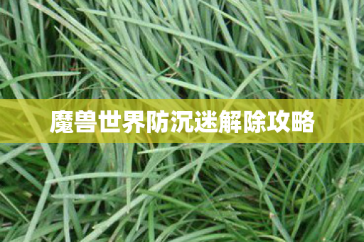 魔兽世界防沉迷解除攻略 魔兽世界防沉迷解除攻略