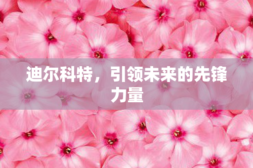 迪尔科特,引领未来的先锋力量