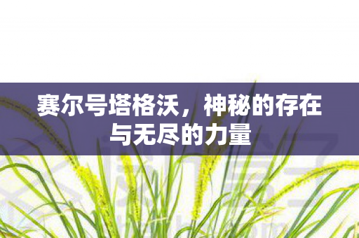 赛尔号塔格沃,神秘的存在与无尽的力量