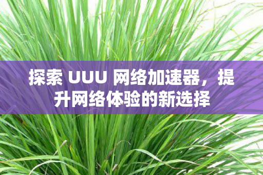 探索 UUU 网络加速器，提升网络体验的新选择