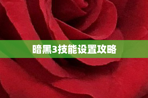 暗黑3技能设置攻略