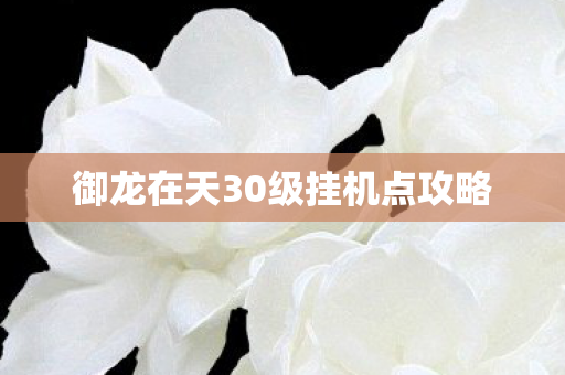 御龙在天30级挂机点攻略