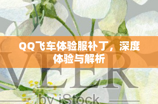 QQ飞车体验服补丁,深度体验与解析 QQ飞车体验服补丁,深度体验与解析