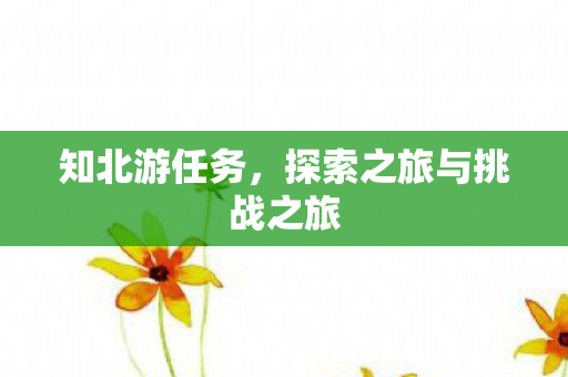 知北游任务，探索之旅与挑战之旅