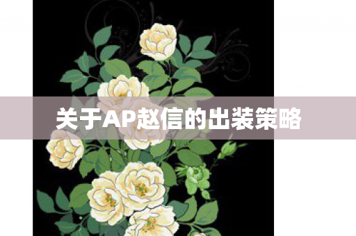 关于AP赵信的出装策略