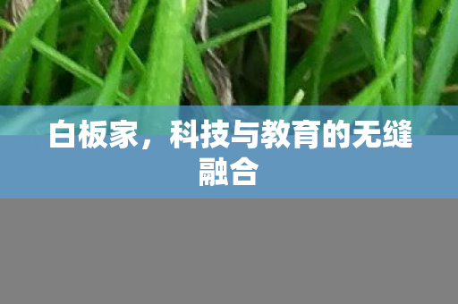 白板家，科技与教育的无缝融合