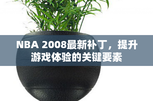 NBA 2008最新补丁，提升游戏体验的关键要素