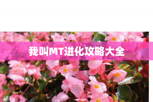 我叫MT进化攻略大全