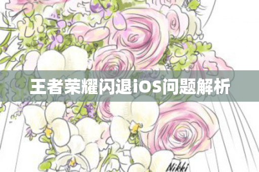 王者荣耀闪退iOS问题解析