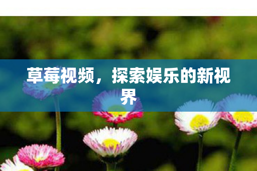 草莓视频，探索娱乐的新视界