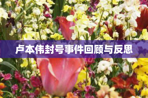 卢本伟封号事件回顾与反思 卢本伟封号事件回顾与反思