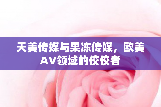 天美传媒与果冻传媒，欧美AV领域的佼佼者