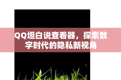 QQ坦白说查看器，探索数字时代的隐私新视角