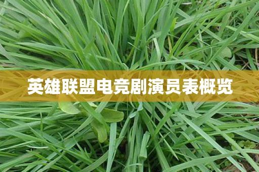 英雄联盟电竞剧演员表概览