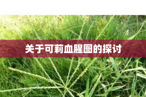 关于可莉血腥图的探讨