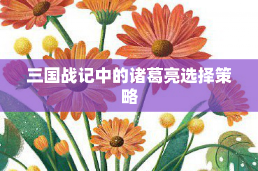 三国战记中的诸葛亮选择策略