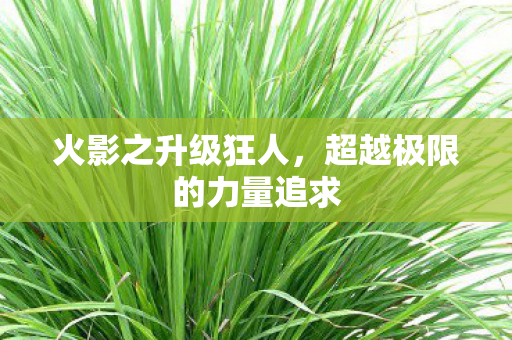 火影之升级狂人，超越极限的力量追求