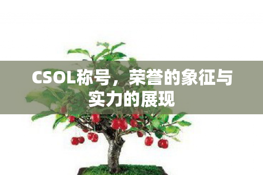 CSOL称号，荣誉的象征与实力的展现