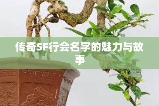 传奇SF行会名字的魅力与故事