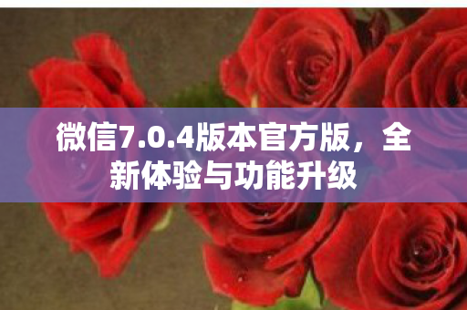 微信7.0.4版本官方版，全新体验与功能升级