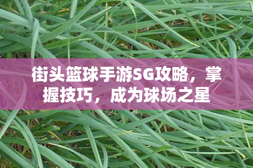 街头篮球手游SG攻略，掌握技巧，成为球场之星